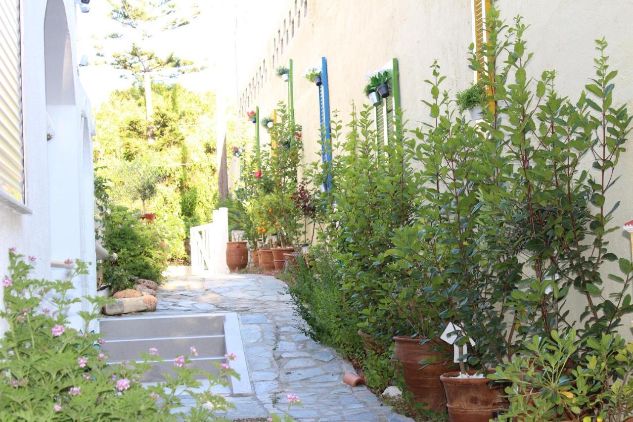 Carolina Apartments Crete Agia Pelagia  Exterior foto